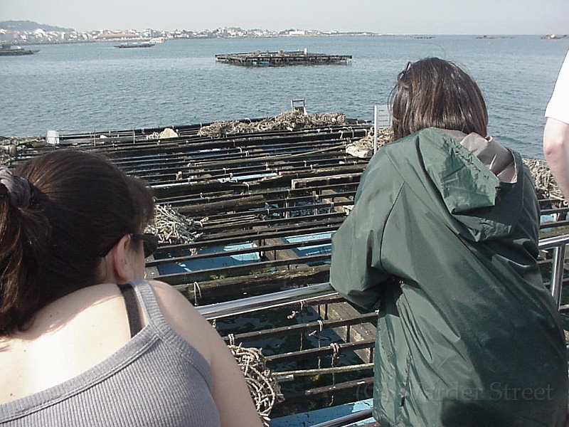 Oyster Fishing Area In Galicia.jpg